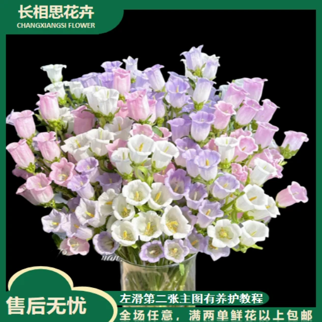 【年宵纳福/不拍保温棉冻坏不售后】不选色风铃 任意2单以上包邮