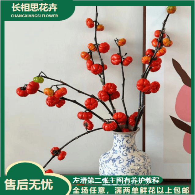 【浪漫七夕】小南瓜 按把不按枝 枝干有粗细任意2单以上发货包邮