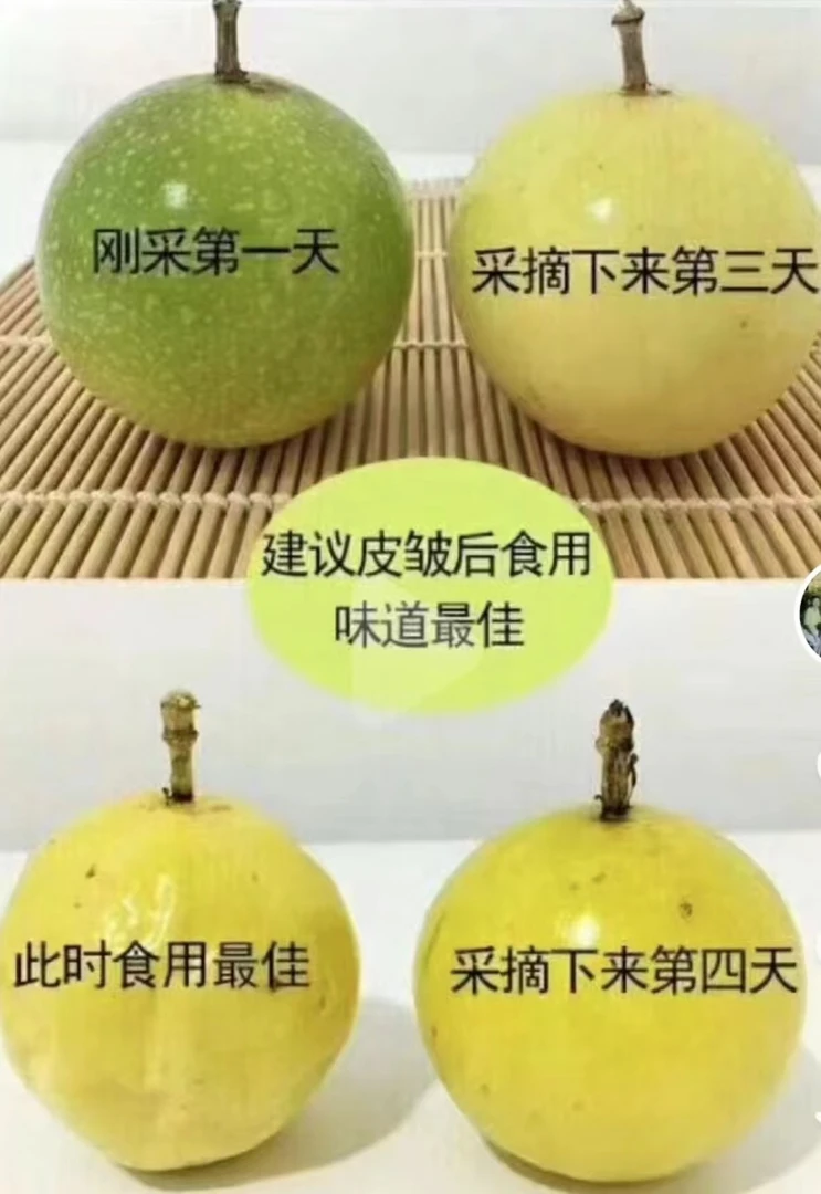 黄金百香果单果重量50克 运输过程中表皮会皱属正常