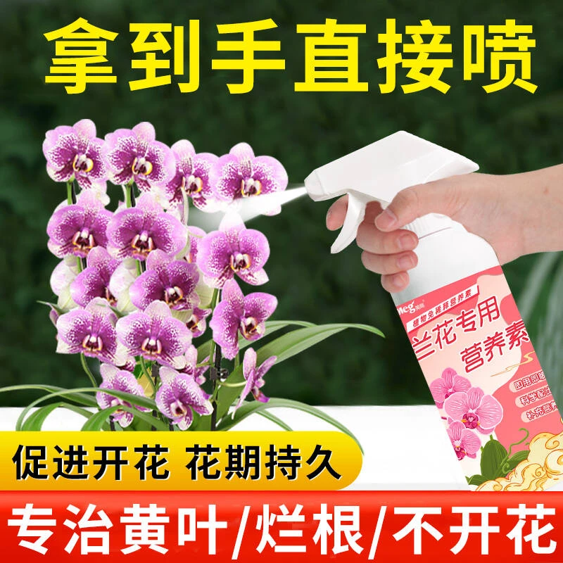兰花多箭素爆芽素专用营养液蝴蝶兰多剑王兰灵王营养液肥料通用型