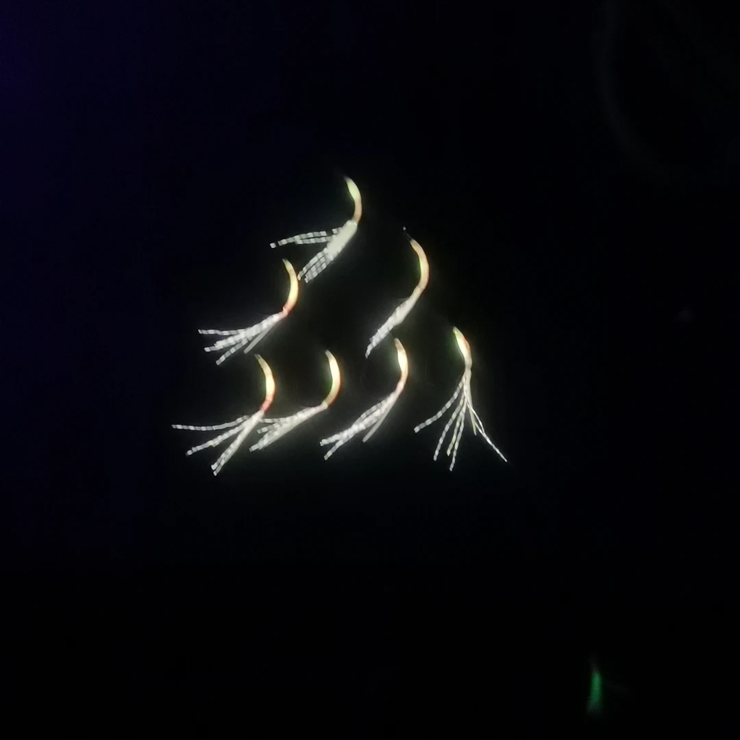 私人订制黄鱼串钩！黄鱼钓组总长2米3，主线7#，子线5#子线长1米5