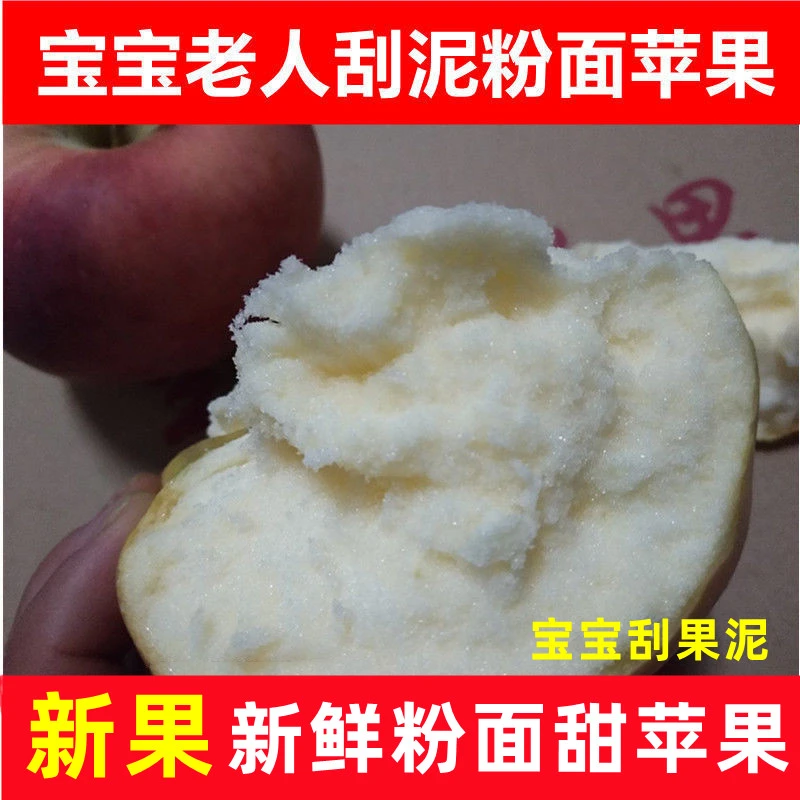 红星苹果粉面沙甜苹果宝宝刮泥老人吃的新鲜香甜沙粉面苹果3/5斤