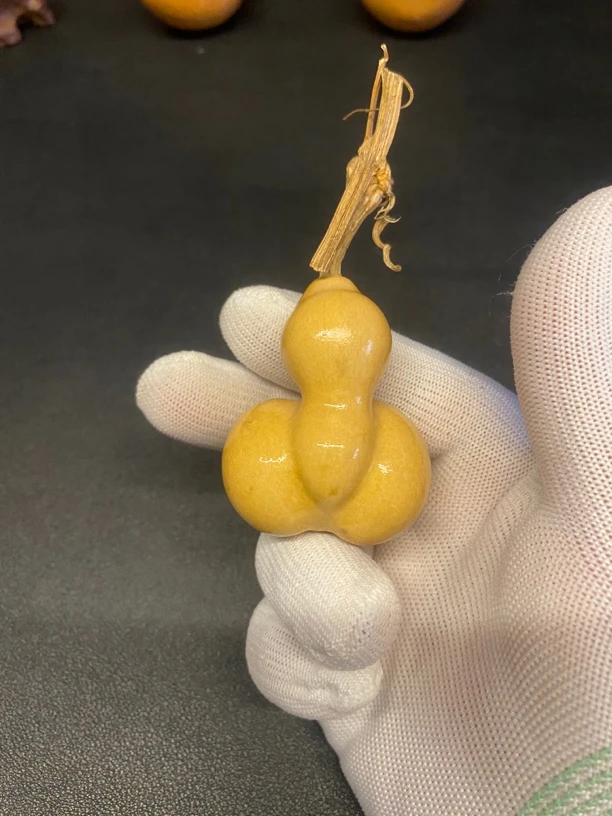 商品拍卖链接，文玩葫芦