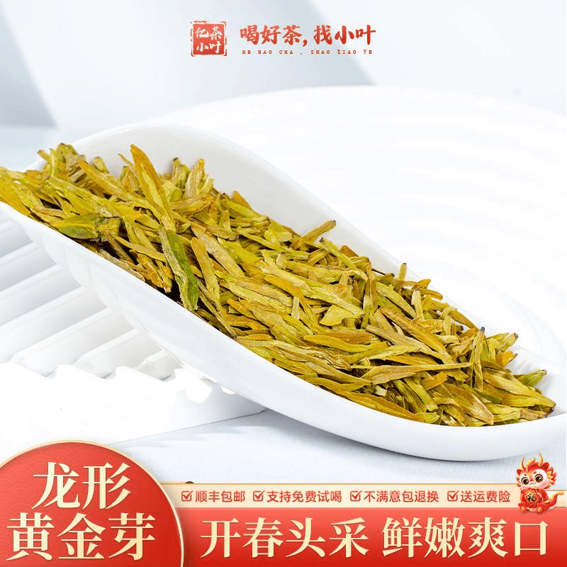 2024年明前龙形黄金芽鲜爽耐泡豆香浓郁精选绿茶