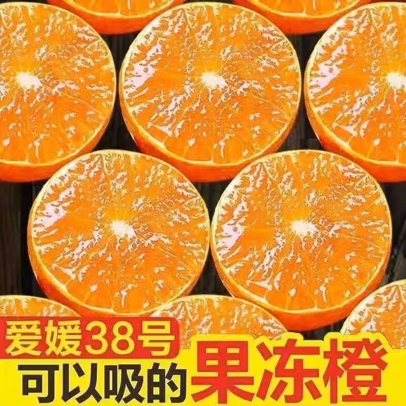 四川爱媛38号果冻橙皮薄肉厚新鲜大果应季产地直发