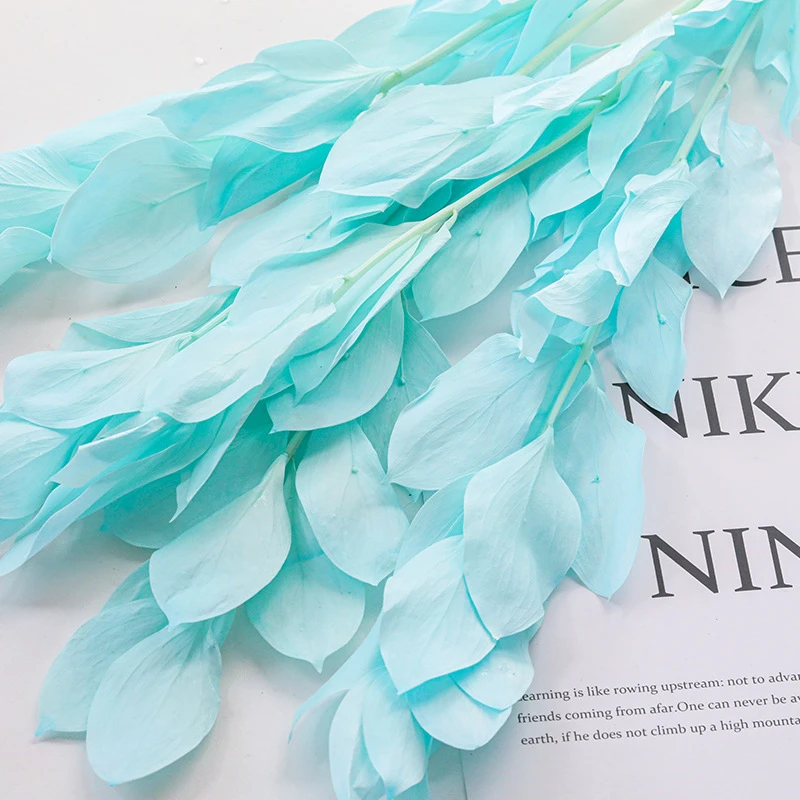 【花落谁家】永生花桔叶干花春节艺家居装饰插花花束云南工厂批发