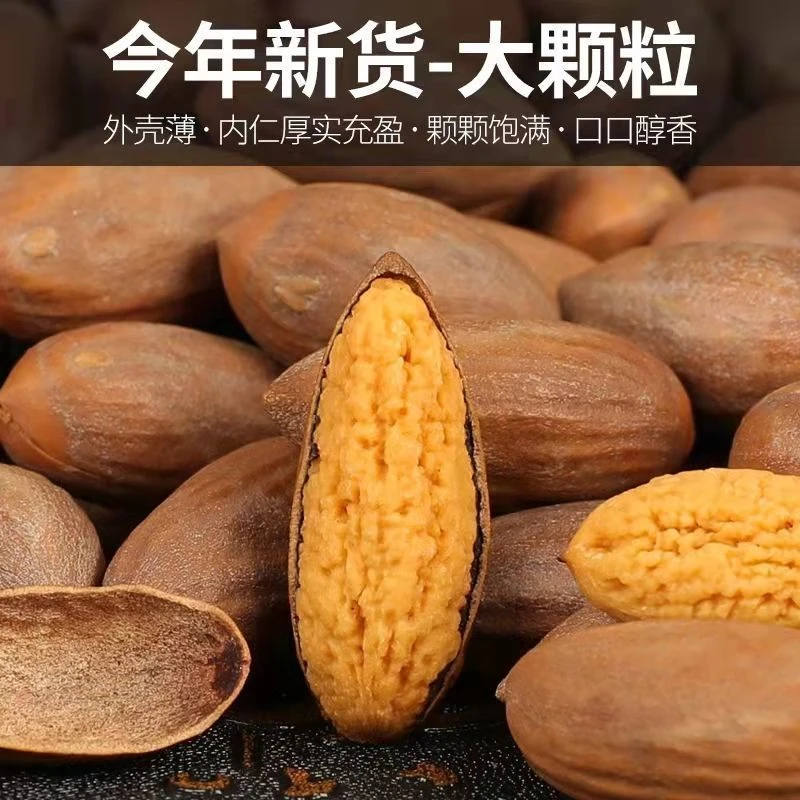 新货诸暨特产香榧子2023新货20g厂家直销零食坚果批发大颗粒