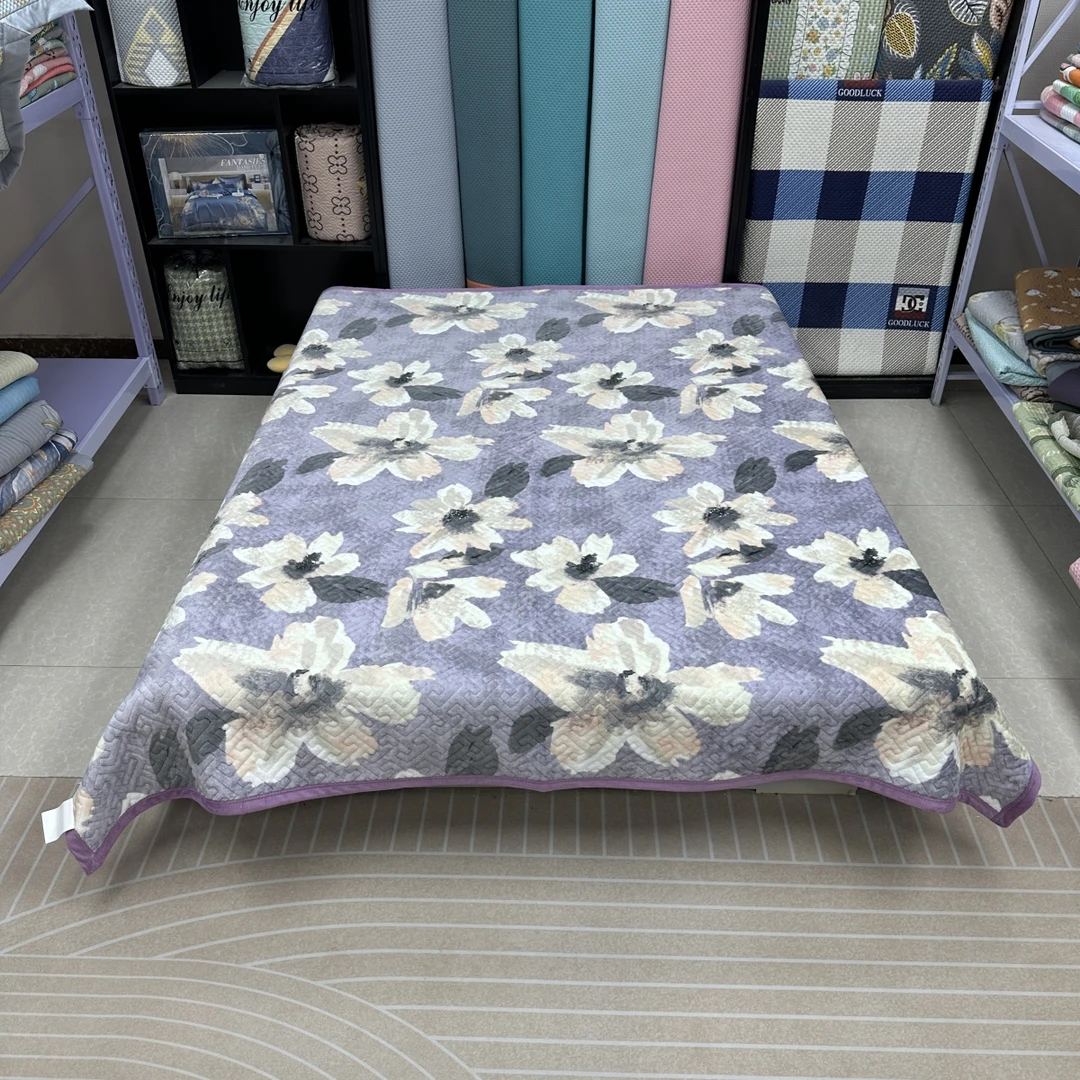 梦境200*230cm宝宝绒床盖加厚秋冬款牛奶绒床毯保暖过冬神器