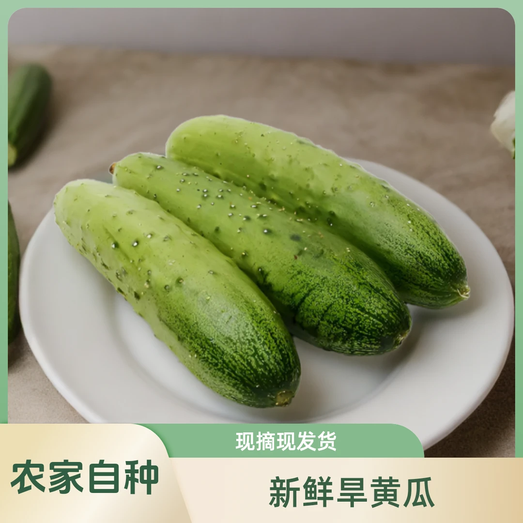 佬家根蔬菜新鲜小黄瓜旱黄瓜水果黄瓜农家产地现摘嫩绿黄瓜3斤5斤