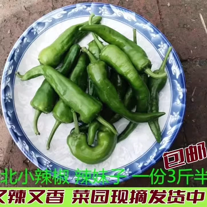 黑龙江新鲜蔬菜小尖椒农家自产薄皮青辣椒辣辣椒 750g/1750g