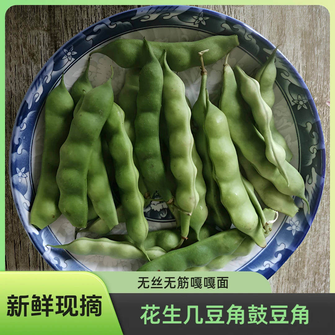 新鲜蔬菜油豆角黑龙江鼓油豆花生几豆角农家自产嫩绿发货 3斤/5斤