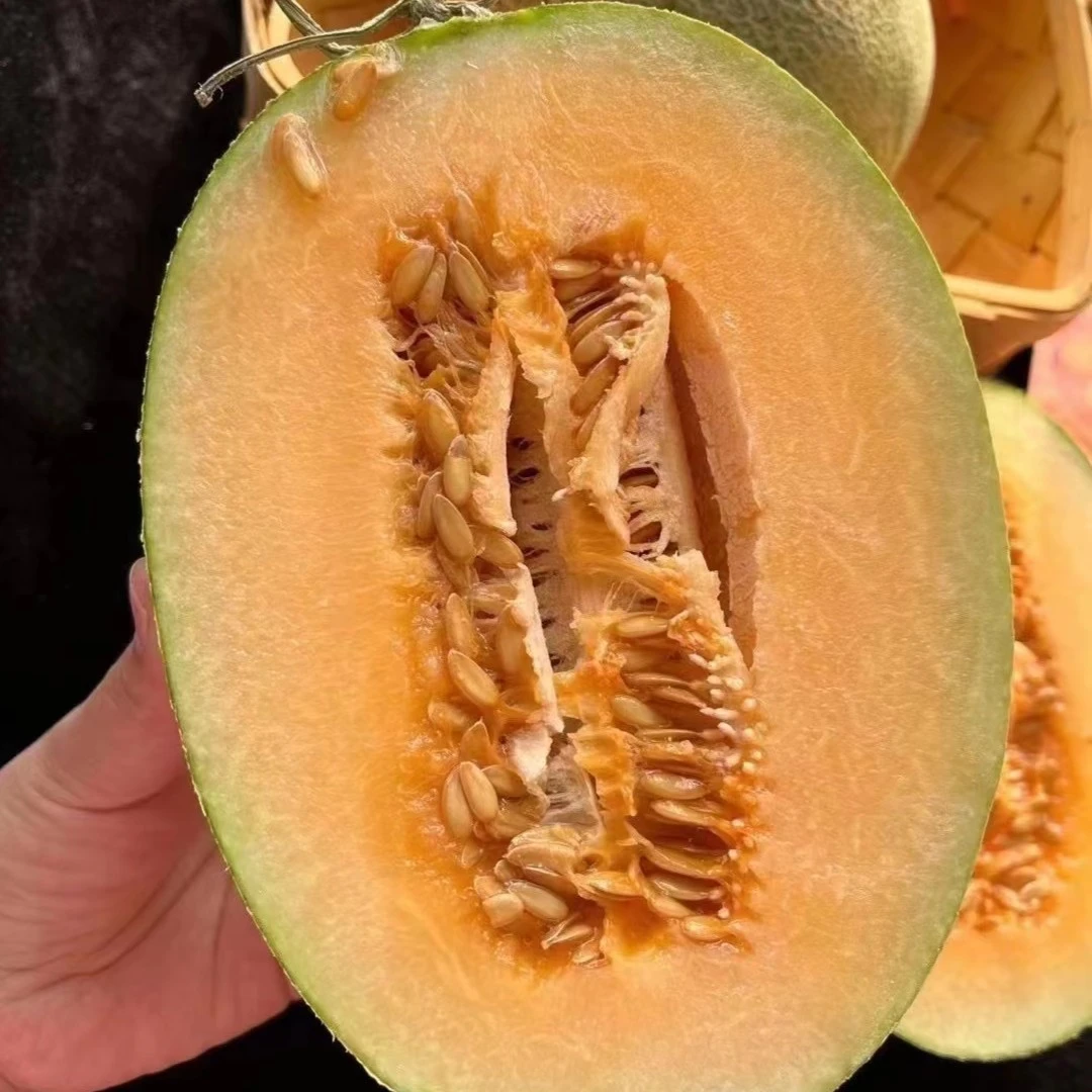 海南脆甜哈密瓜一个