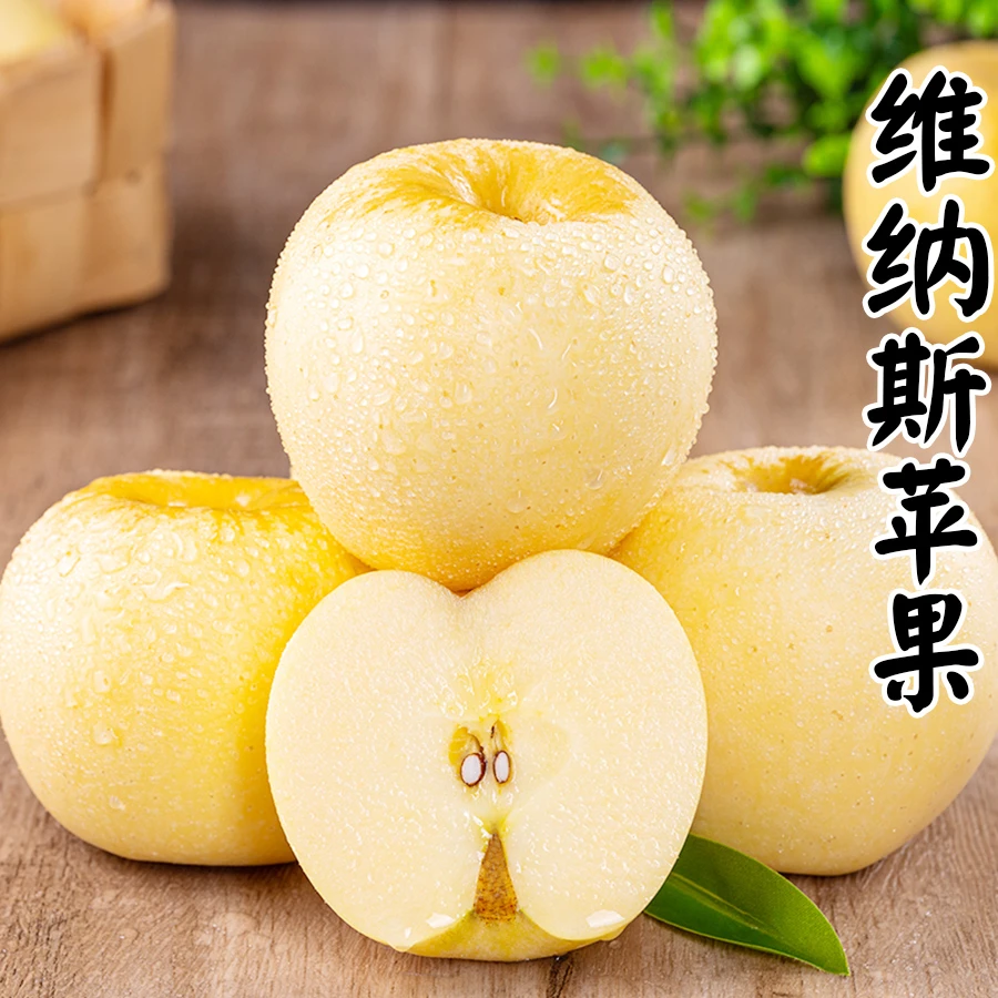 维纳斯黄金苹果精品礼盒奶油富士苹果纯甜无酸酥脆甜只发川渝