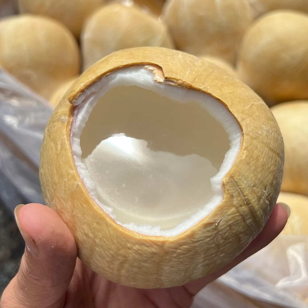 泰国功夫椰皇甘甜可口水分足