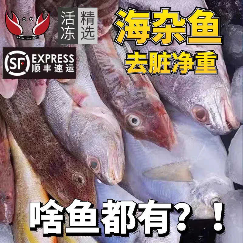 海杂鱼鲜活海捕杂鱼新鲜冷冻海鲜多种鱼类大杂烩美味丰富随机发货