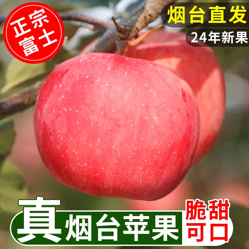 山东烟台红富士4.5斤-9斤当季水果苹果整箱香甜可口肉厚多汁