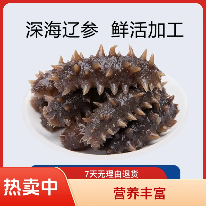 鲜美鲜食海参来自海的馈赠食用简单口感鲜美营养
