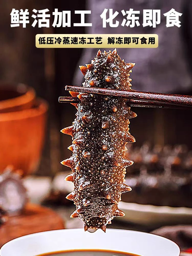 【正宗海参】顺丰冷链鲜食海参低温冷蒸新鲜营养刺身26根装包邮