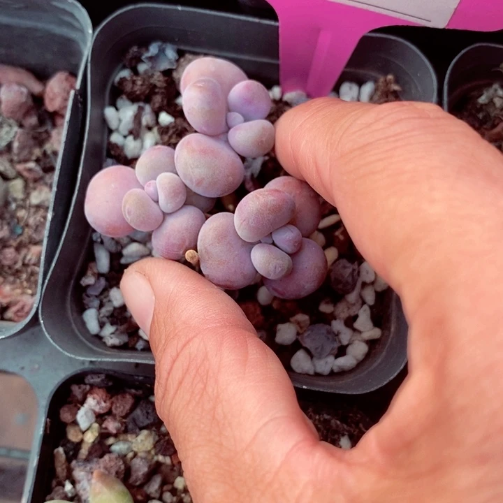 L*f h d f h j 178