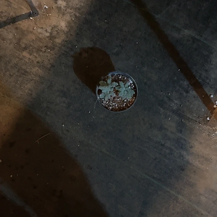 满38包邮，2天凑单，不足38运费不退