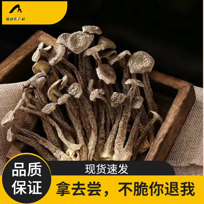 鹿茸股直销脆脆鹿茸菌鲜甜营养美食食用菌250克500克包邮新鲜产品