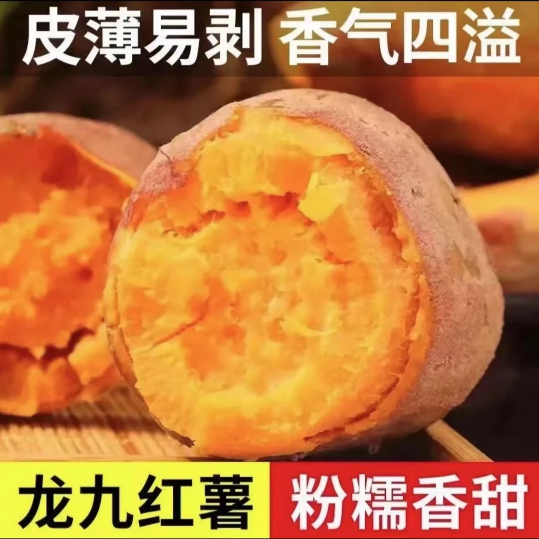 黄心红薯农家自种入口美味香甜肉质好吃红薯9斤新鲜现挖食用