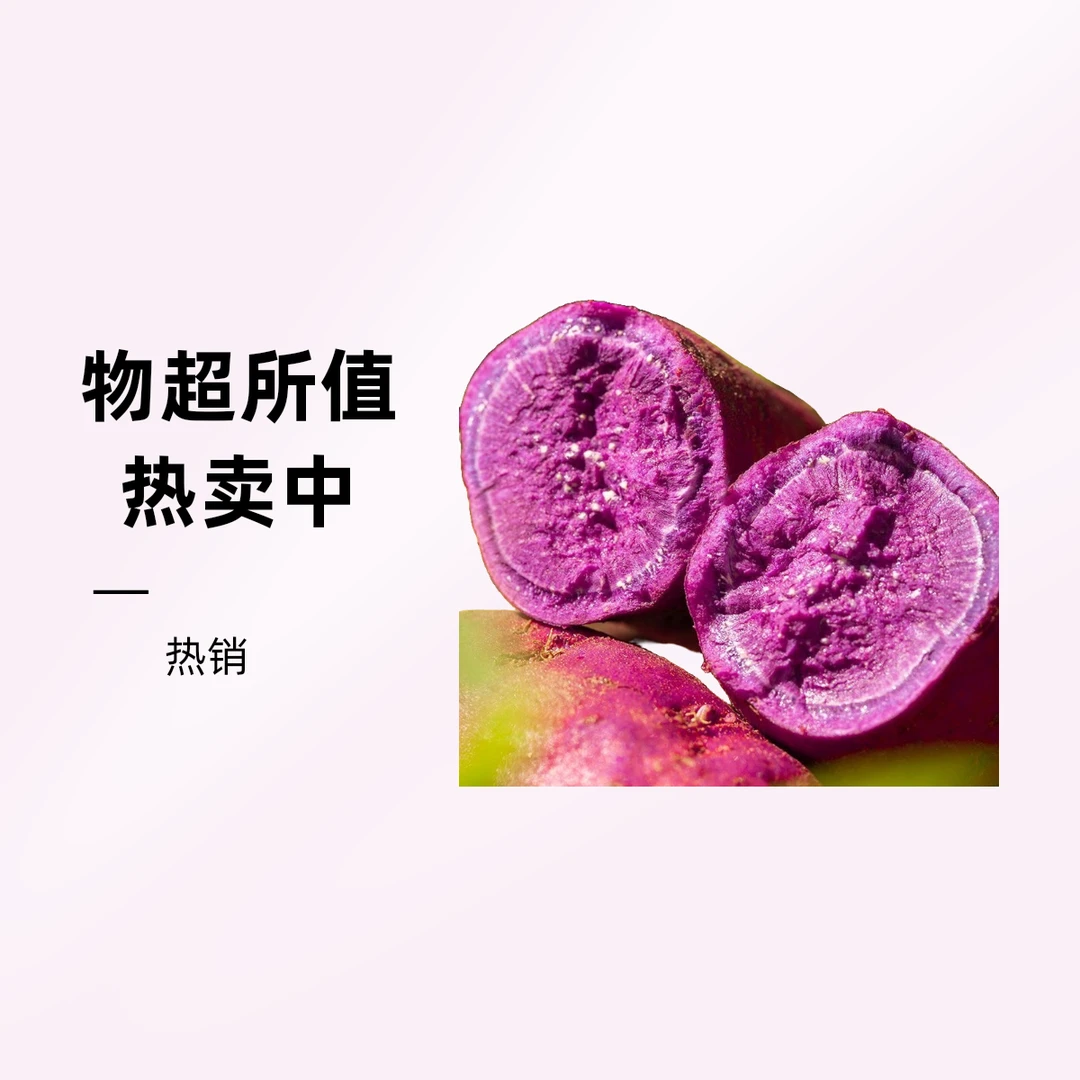 新鲜现挖紫罗兰沙地紫薯 软糯香甜 粗粮代餐蒸煮甜糯新鲜紫薯