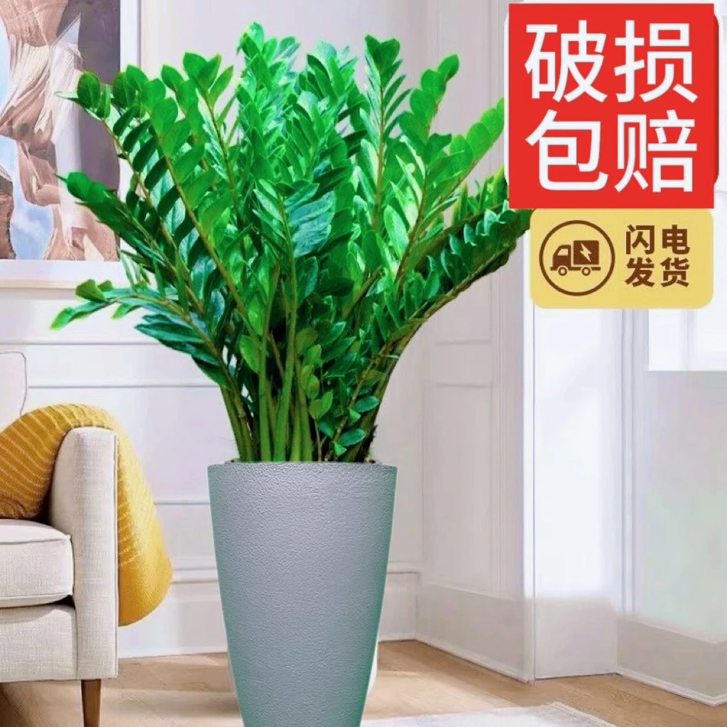 简约欧式大号花盆客厅阳台绿植盆栽透气花盆