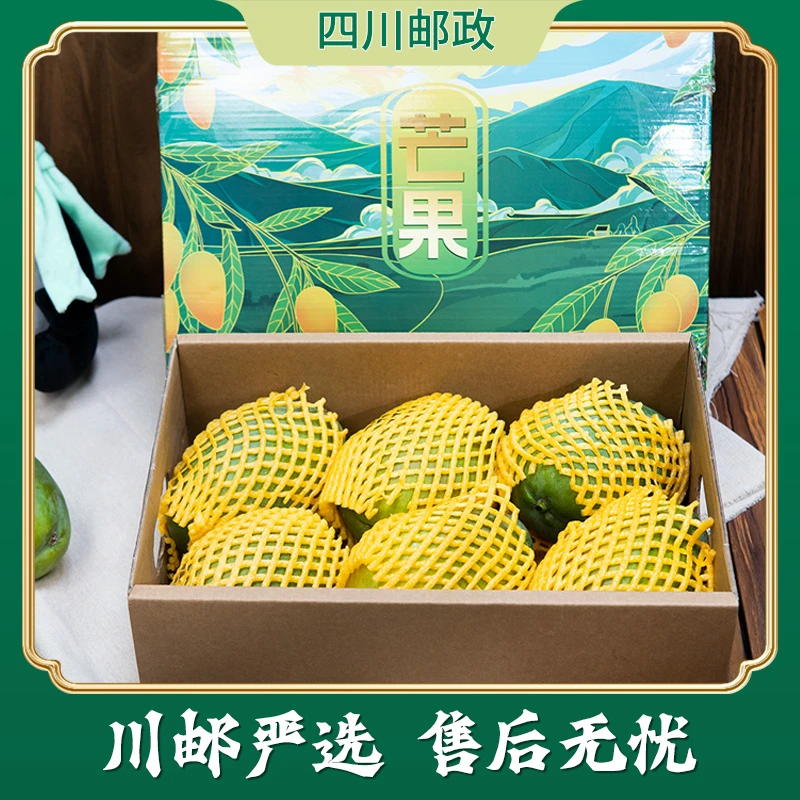 【川邮严选】四川攀枝花高山新鲜凯特芒果中秋礼盒装肉厚核薄多汁