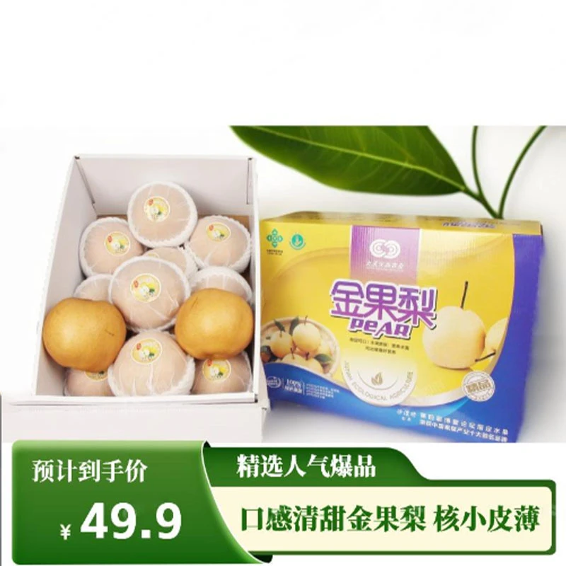 金果梨 汁水丰富 口感清甜 核小皮薄 味美绿色精品营养大果精选