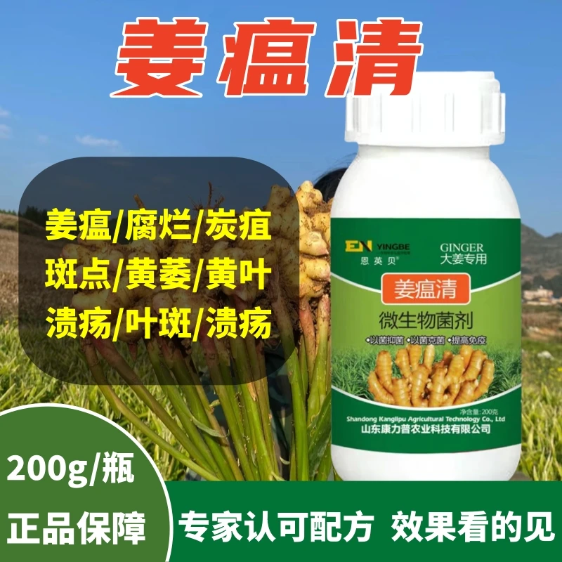 姜瘟清生姜病害全防生姜杀菌剂姜瘟灵生姜专用干尖黄叶