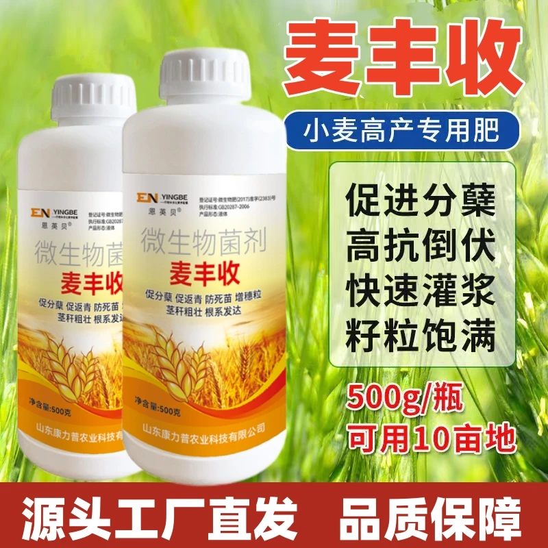 恩英贝麦丰收小麦高产叶面肥麦黄金增产促分蘖籽粒饱满农业