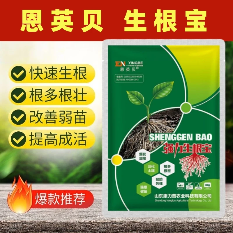 快速生根根多根壮改善弱苗活化土壤强根健苗植物通用生根壮苗剂