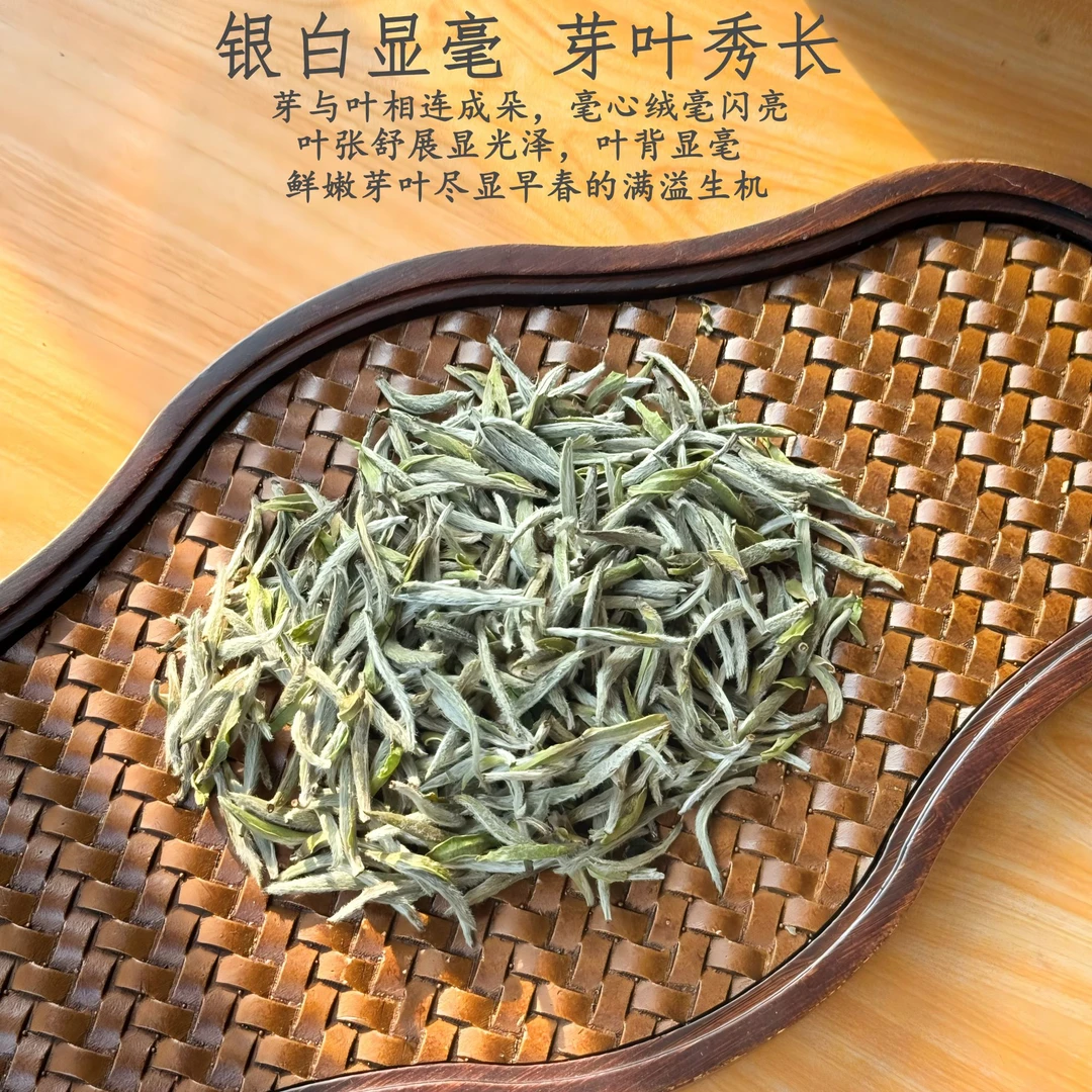 2024福鼎白茶白毫银针一级首采炭焙茶叶50g