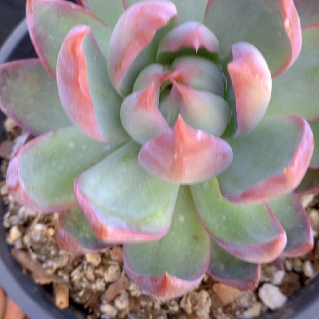 ?哈哈哈哈哈哈哈哈哈哈