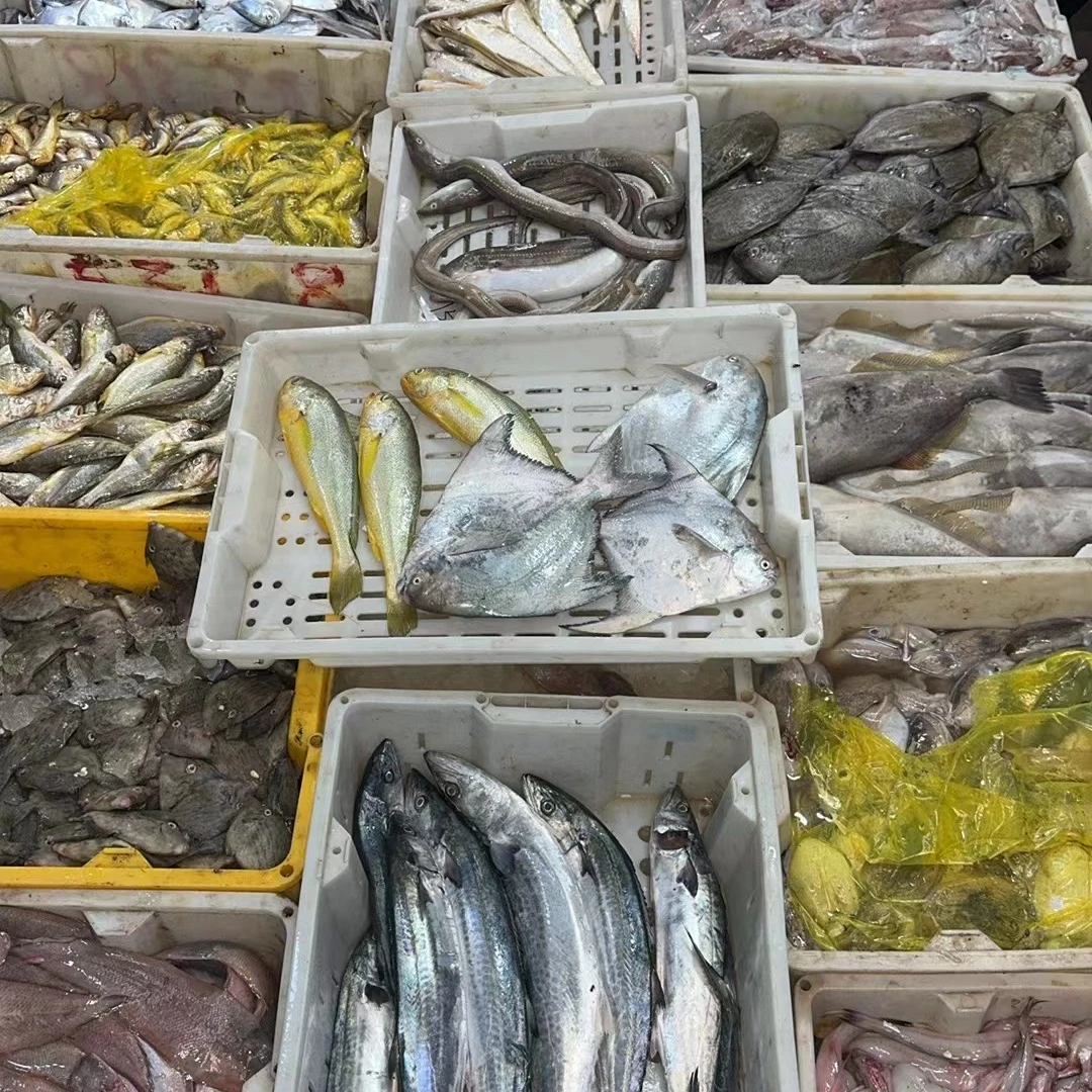 【海鲜礼盒】石浦海鲜现称改价500g起-1