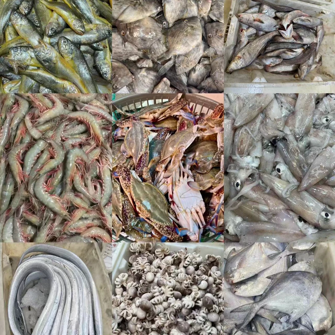 【海鲜礼盒】石浦海鲜现称改价500g起-3