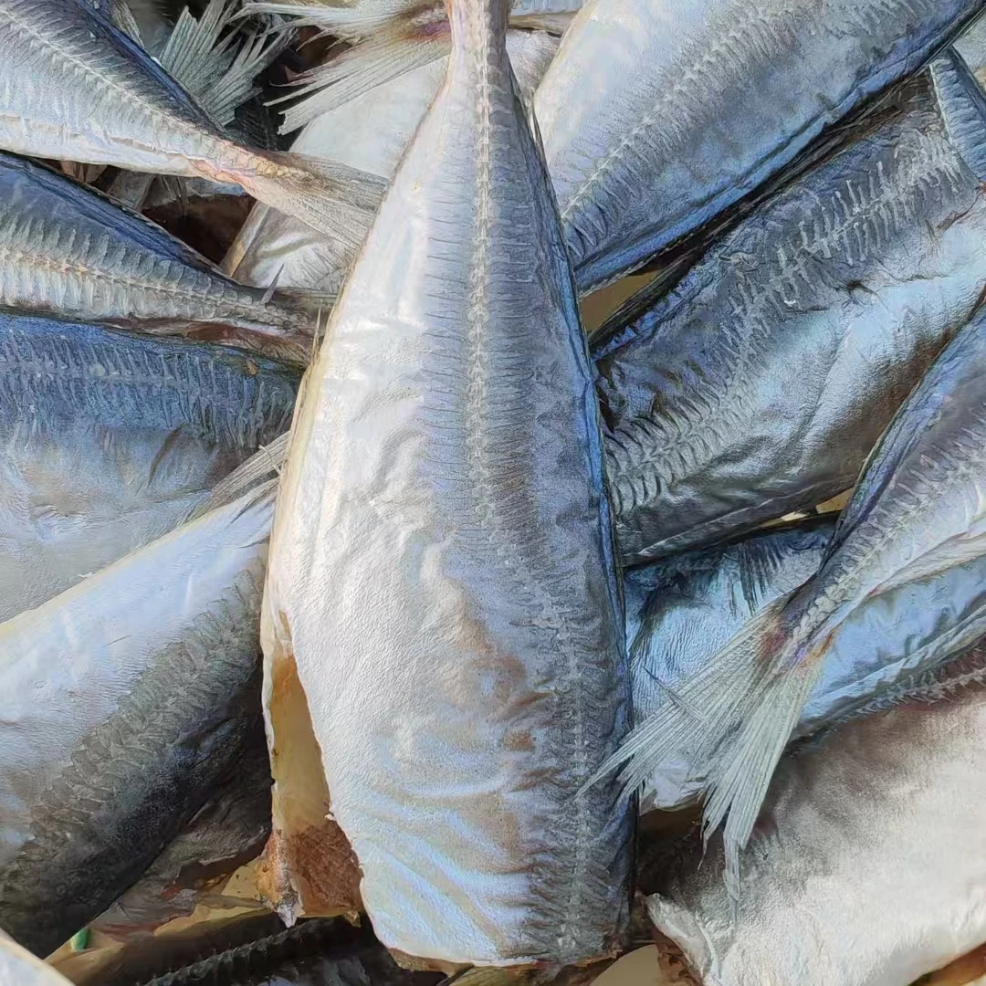 (娟子大食堂)纯海水清洗 一卤鲜 3成干竹荚鱼干