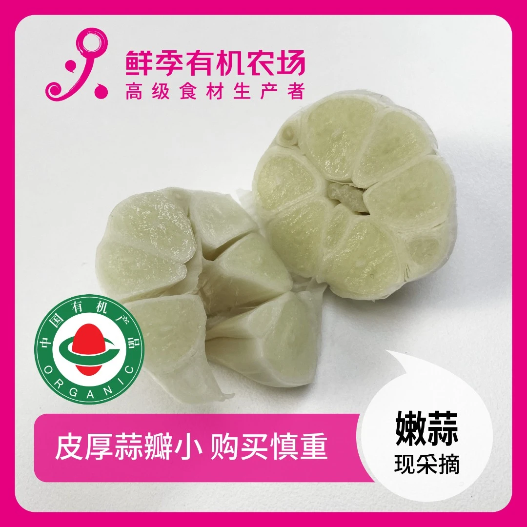 鲜季全自产 全是散瓣 介意慎重 有机新蒜200克 有机 25年4月采收