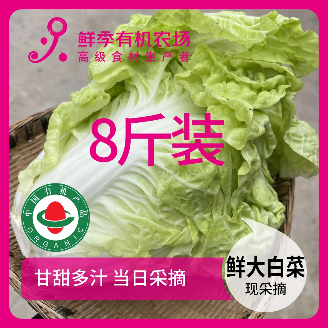 鲜季全自产 当前有抽苔 8斤装 有机鲜大白菜 4000克 现采 顺丰