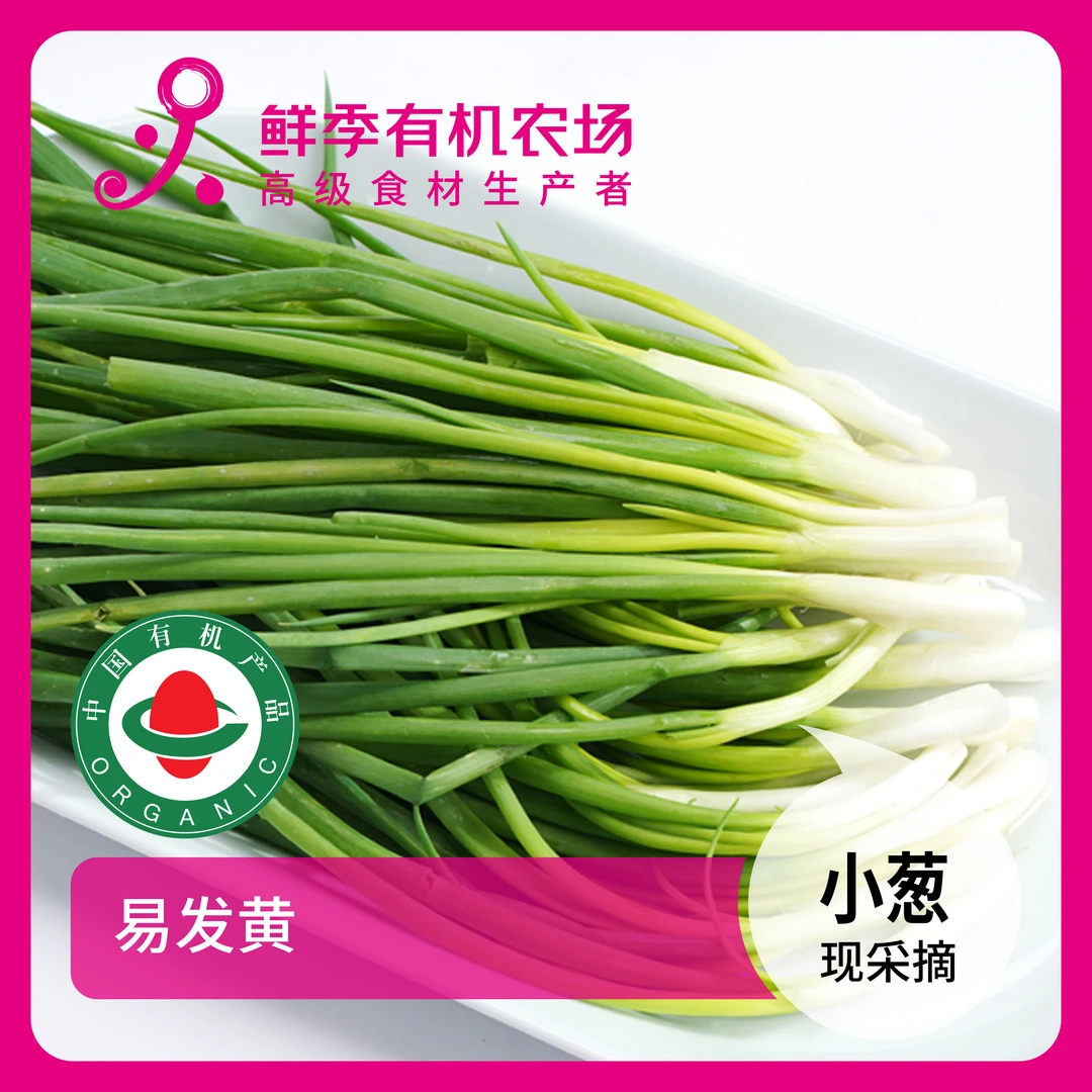 鲜季全自产 有机小葱200克自产