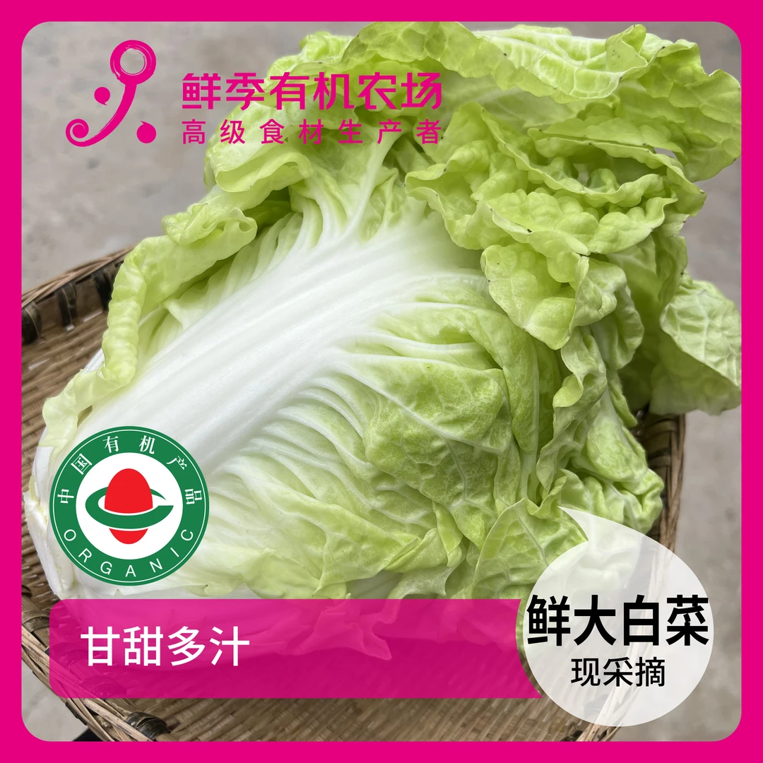 鲜季全自产 当前有抽苔 有机鲜大白菜 一颗 750克 有机 现采/顺丰