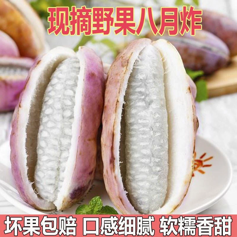 八月瓜水果八月瓜新鲜5斤包邮预知子罕见大果8网红甜瓜八月炸水果