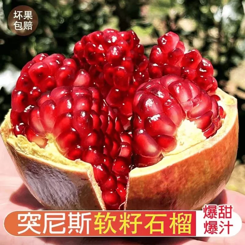 四川会理突尼斯软籽石榴果王带彩箱5个新鲜现采现纯甜无酸