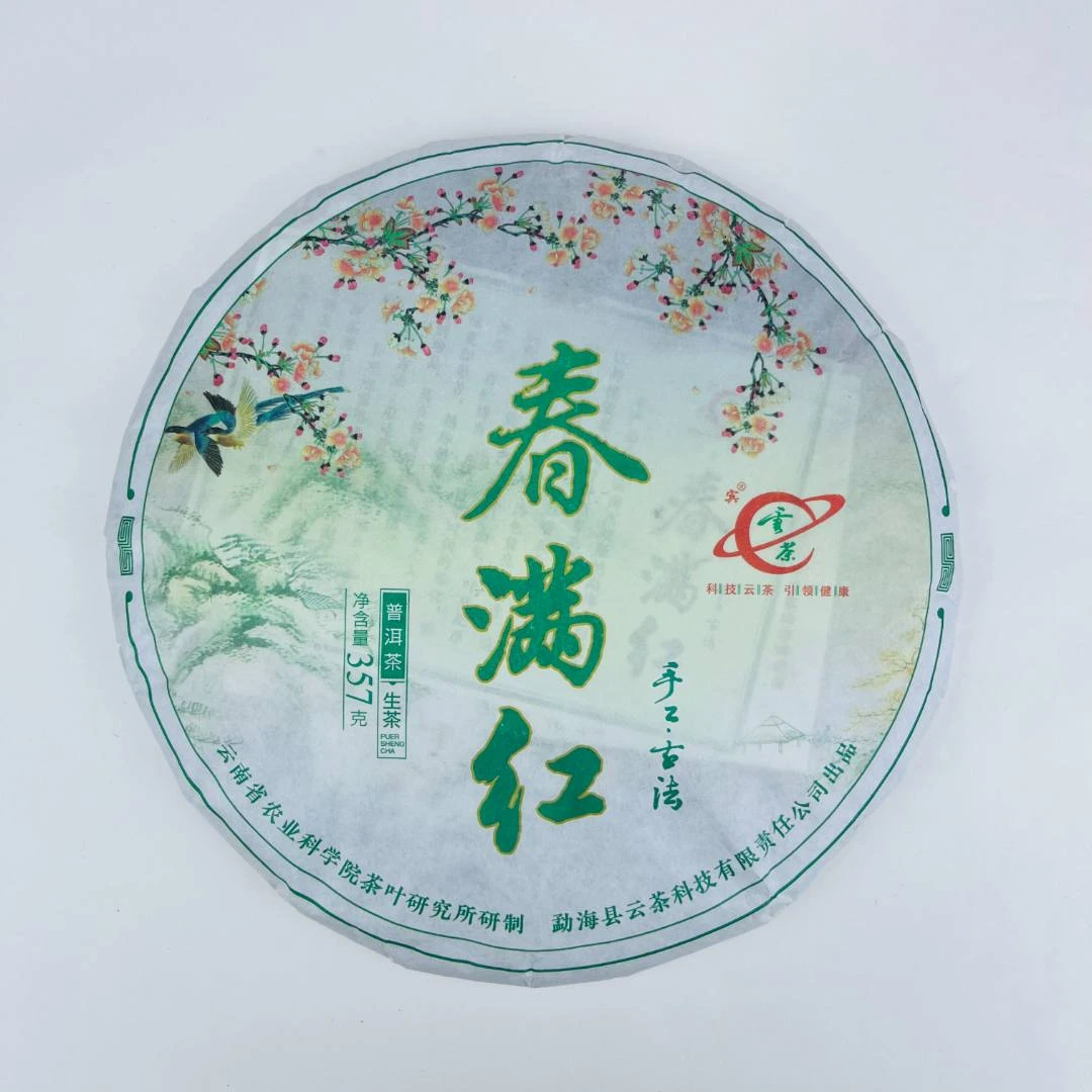 云茶 春满红 生茶 普洱茶 357g/饼