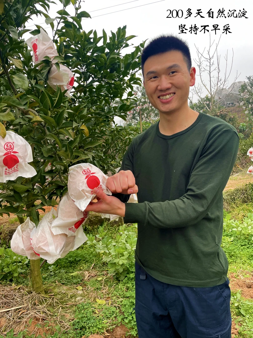 (零下温度避免坏果保温箱发货）种植眉山产地爱媛38号果冻橙新鲜甜