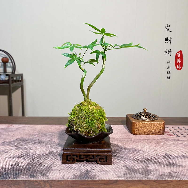 【宏展】双喜临门发财树新中式办公书桌茶台绿植