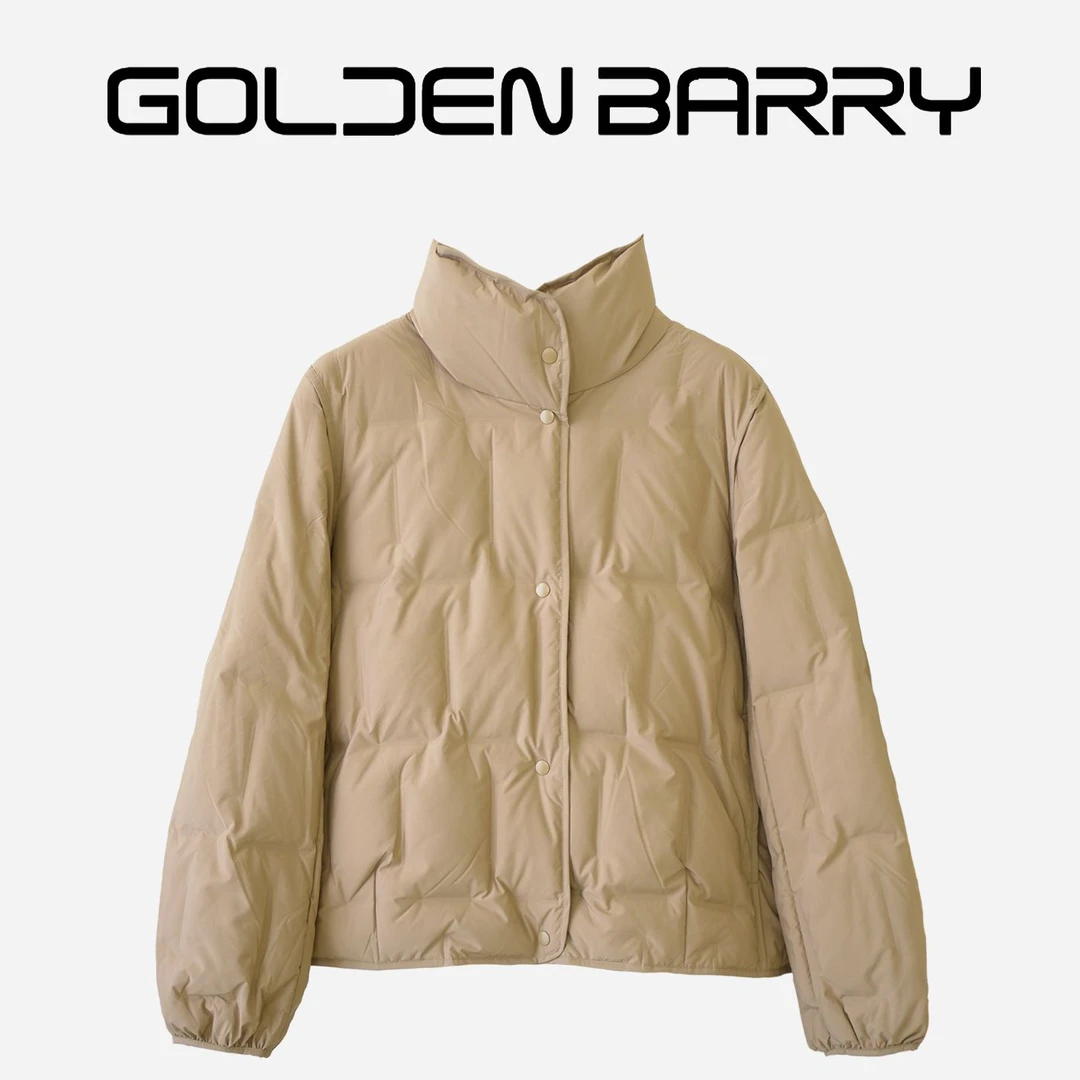 131006立领时尚轻薄款鹅绒服