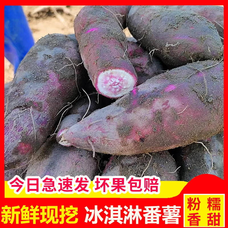 茂名沙地冰淇淋红薯一点红地瓜紫心番薯新鲜花心板栗红薯小香薯