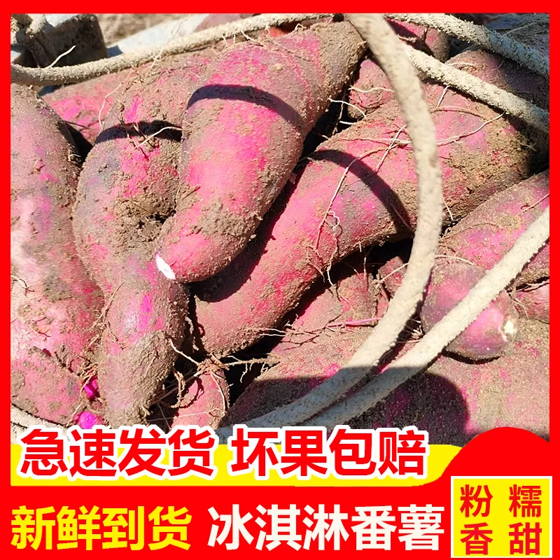 新鲜红薯冰淇淋番薯南沙一点红网红冰激凌紫薯花心板栗地瓜10斤